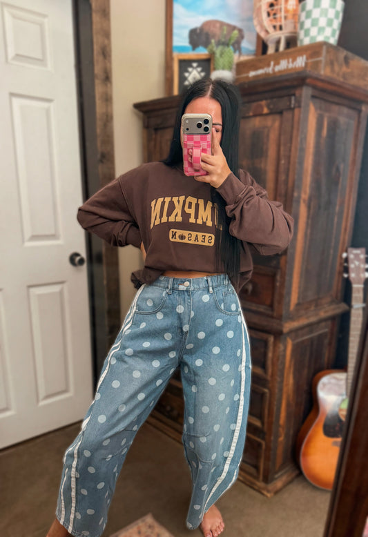 Polka Dot Stripe Barrel Jeans